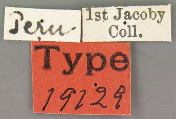 Media type: image;   Entomology 19129 Aspect: labels